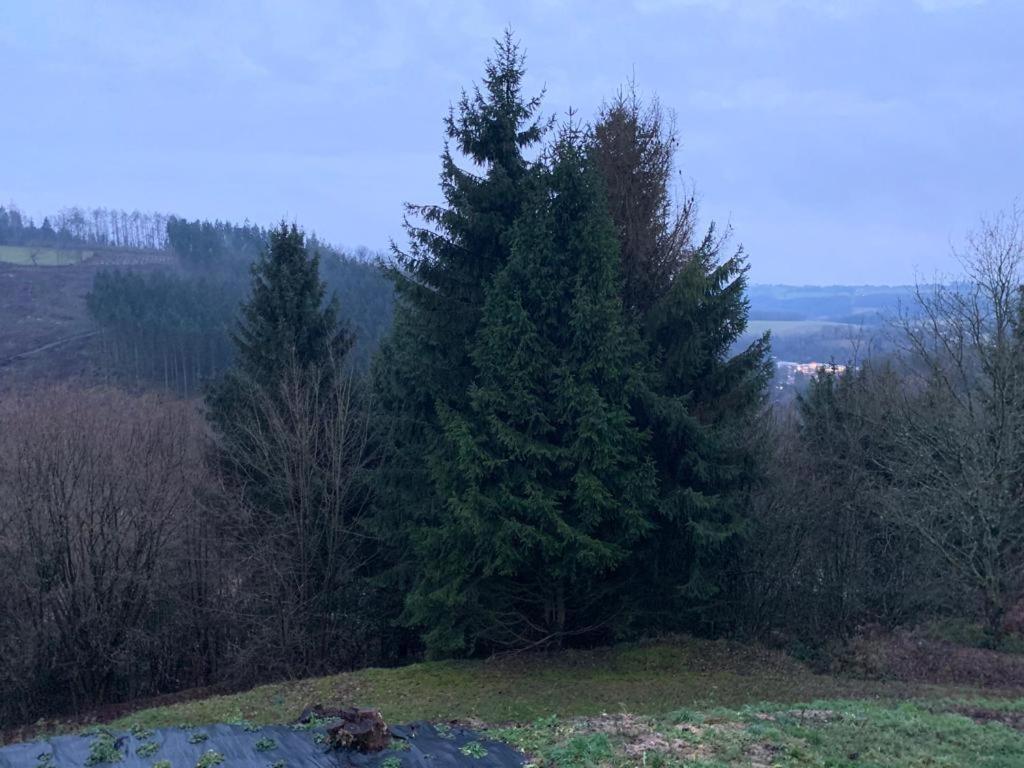 Terrasses De Malmedy Connecto Duplex 435 & 436 En Studio 336 Luaran gambar